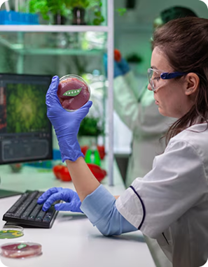 Prototype Development – From Bench Sample to Pilot Batch